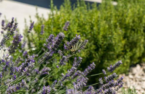 Villa Casa L - Photo 22