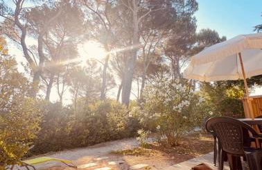 Maison de vacances au calme 4 personnes residence avec piscine - Photo 8