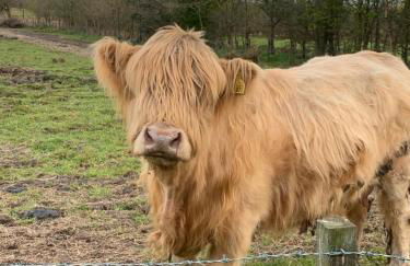 The Ploughman's Poet - Photo 46