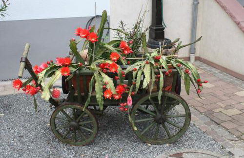 Ferienwohnung Fam. Höhn - Foto 27