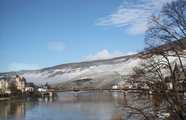 Holiday Apartment "mosel & Umzu" - Photo 14