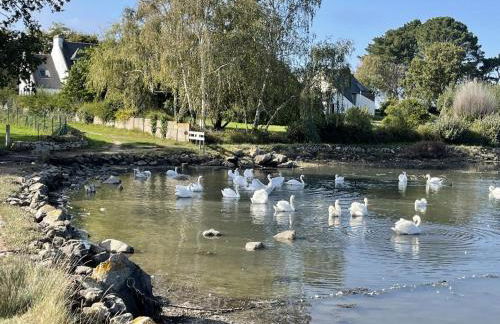 L'escale bleue - Foto 37