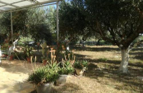 Sunny holiday home - Foto 21