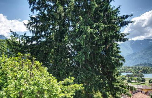 Yellow Lake View by Halldis - Foto 17