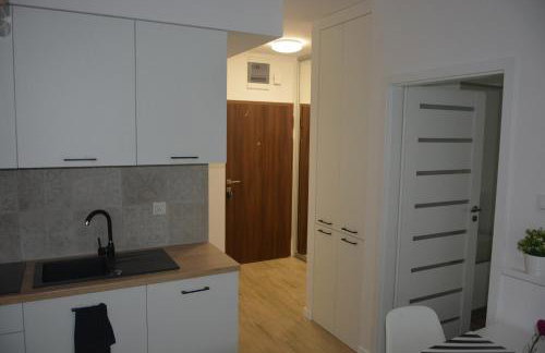 Apartament Royal Place 19 II - Foto 2