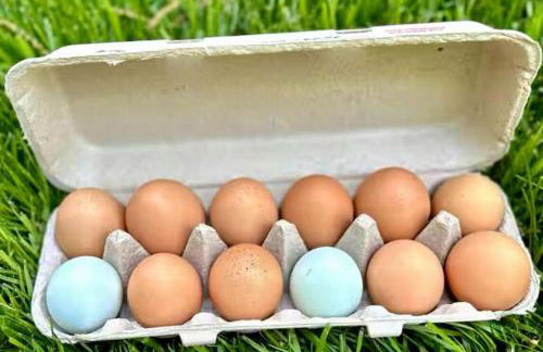 Pet-Friendly Cottage, 2 Mi to Saugatuck Falls - Foto 22