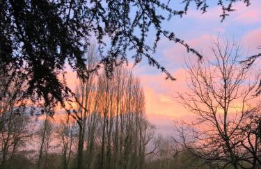 Chateau de la Preuille Gites - Foto 42