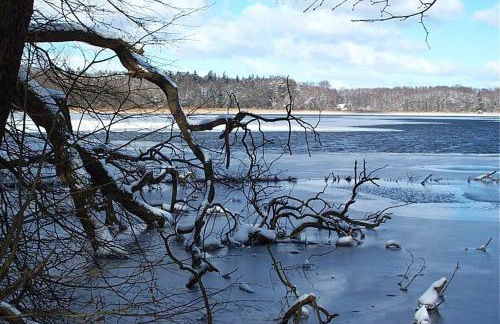 Anno-Nostalgia - Foto 30