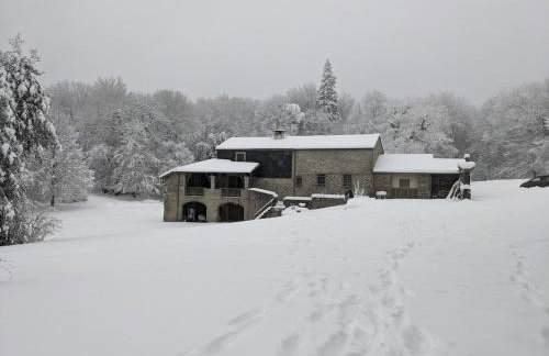 Maison au coeur de la forêt dans le Sidobre - GR36 - Foto 11