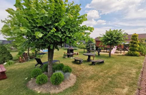 Agrostrzecha - Foto 19