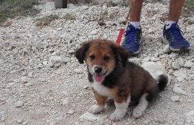 B & B Il Sicomoro - Foto 40