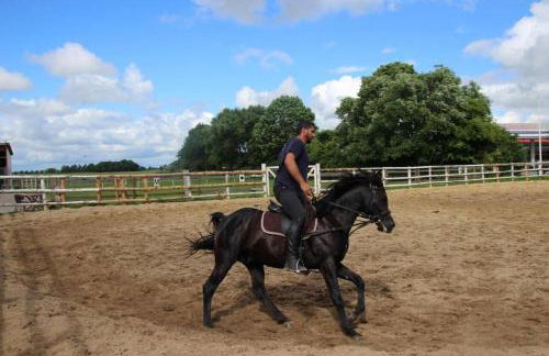 Reiterhof an der Nordsee - Foto 9