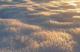 Frisch renoviertes BergSeeNest - Foto 26