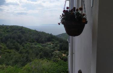 Eden View - Photo 39