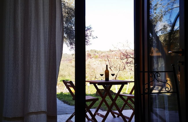 la corte degli ulivi - Foto 40