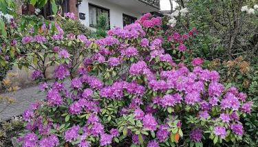 Ferienwohnung Bergblick - a63503 - Foto 2