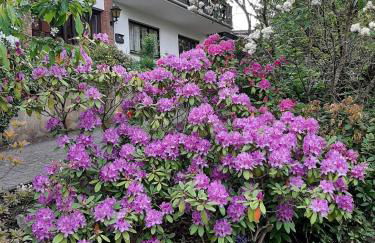 Ferienwohnung Waldblick - Foto 2