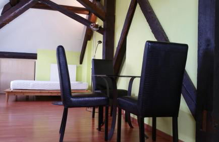 Grand Studio Climatisé en combles à 2 pas de la gare de NANCY - Foto 3