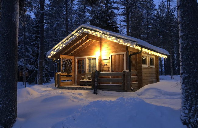 Metsä Kolo - Foto 31