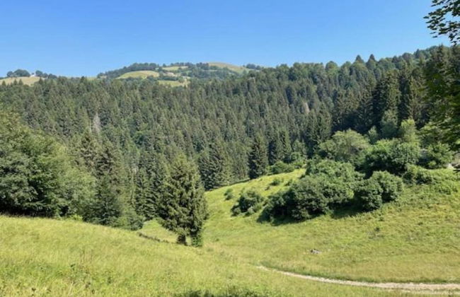 Luxury Villa in Romano D Ezzelino - Foto 35