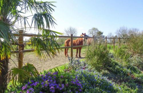 Stone House in Plouezec Near Goelo Coast - Foto 43