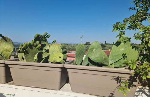 Ulivi di Minerva - Boutique Holiday Home - SUPER SUITE & SPA POLLON - Ostuni - Fasano - Cisternino - Foto 7