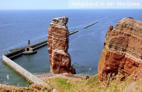 Neu! - "Skandi-Lounge"- Naturnah, mit Kaffeebar, schnellem Internet, Terrasse und Wallbox - Foto 45