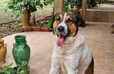 Home & Gardens 2-bed Villa in Sevasti, Katerini - Photo 3