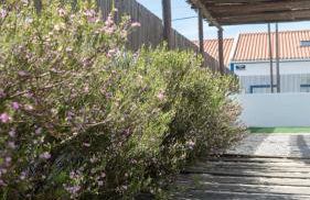 Cabana da Comporta - Foto 22