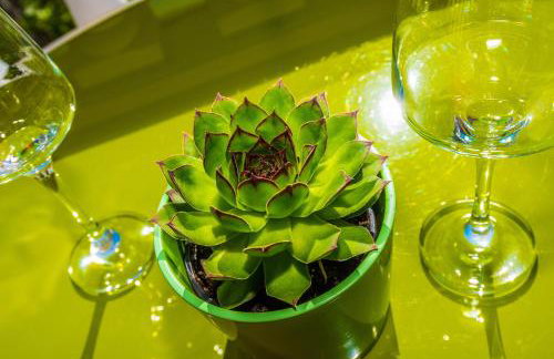 Apartments Marko Dominik - Foto 25