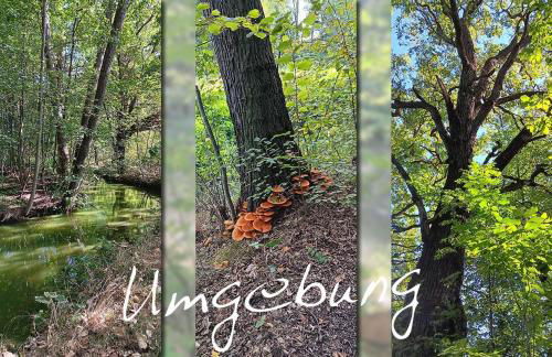 Spreequartier - Foto 17