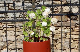 Nikolaou Apartments Keramidi - Photo 18