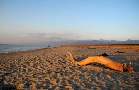 Agriturismo Spazzavento - Foto 43