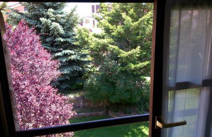 Casa Rómulo - Foto 7