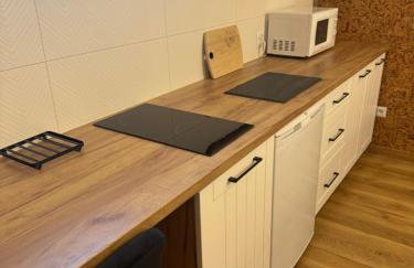 Apartament z tarasem i pokoje KLIMATYZOWANE -Drozdówka Solina - Foto 35