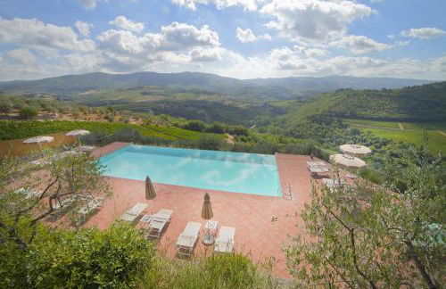 Castello Vicchiomaggio - Foto 152