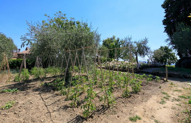Rocca di Cetona - a Medieval Castle - Foto 74