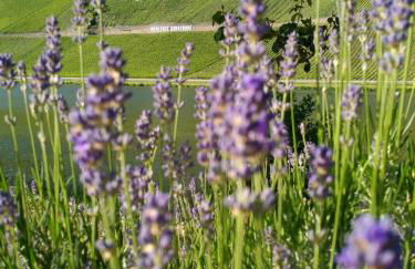 Ferienwohnungen und Gästezimmer Peter Busch - Foto 2