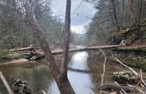 Hee Haw on the Creek - Foto 23