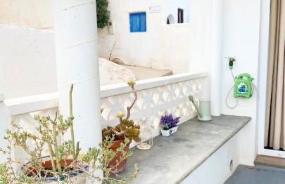 La Casilla del San Antón - Foto 31