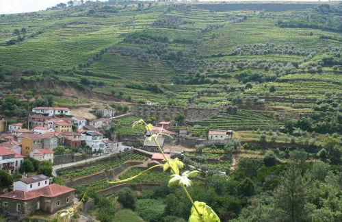 Quinta do Enxertado - Foto 22