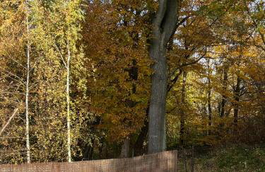 Dębowy Zakątek - SPOKOJNY, KOMFORTOWY WYPOCZYNEK W OKOLICY KRAKOWA - Foto 28