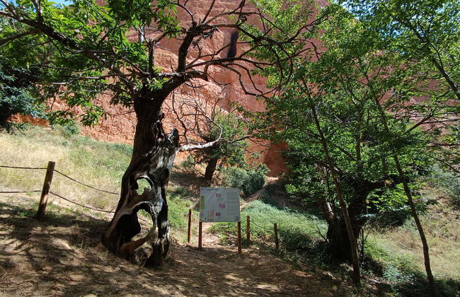 Las Médulas Guided Walking Tour - Photo 11