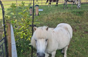 Luxury Peak District stay set in private land with horses and country Pub - Dog Friendly - Foto 17