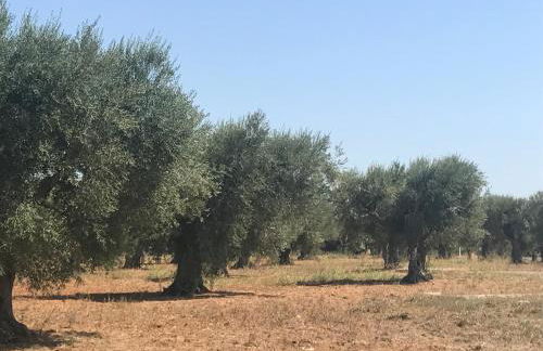 Casette nel Borgo - Foto 17