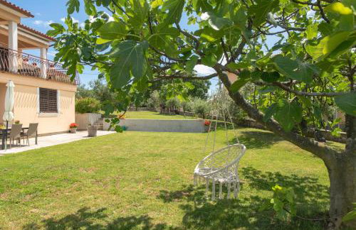 Apartment Alex - Photo 20