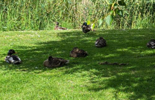 FeWo Oldeoog OG - Horumersiel - Foto 25