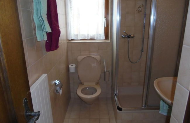 Silberdistel - Foto 16