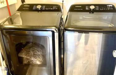 THE HONOMU HOUSE - Gorgeous, Spacious 4Bd2Ba Home near Waterfalls and Hilo, Sleeps 12! - Foto 33