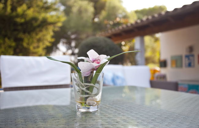 BJ Apartamentos Europa - Photo 29